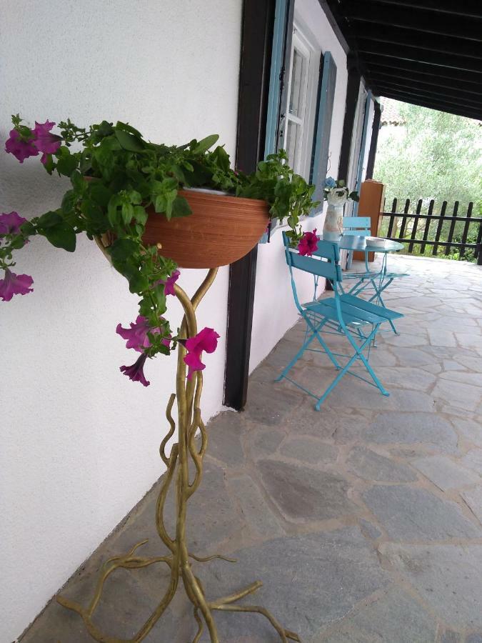 Sea & Sun House Βίλα Nea Kallikrateia Εξωτερικό φωτογραφία